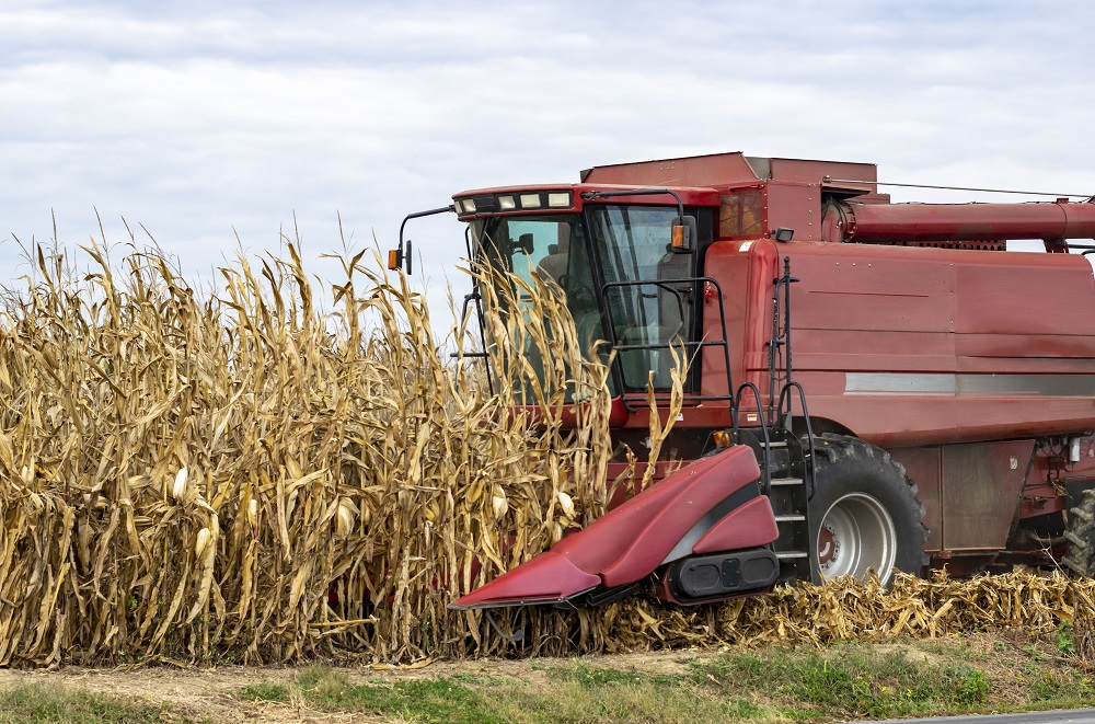 La FAO estima una merma de 38 9 millones de toneladas en la producción