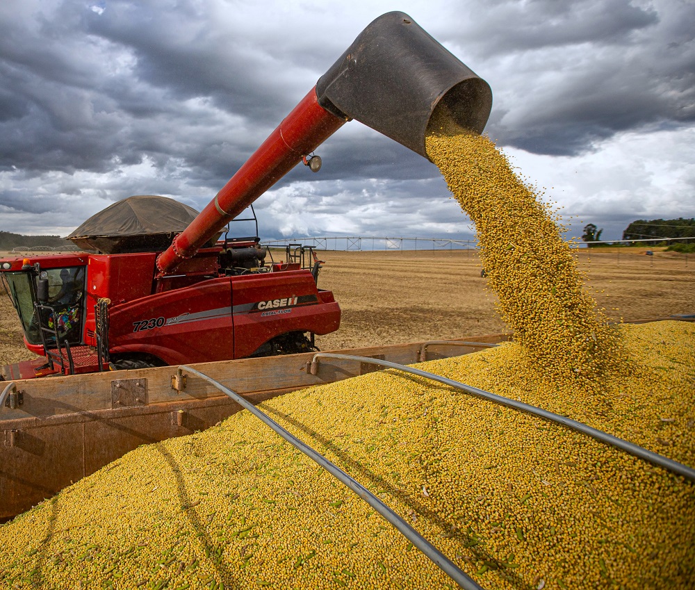 Env Os De Soja Arroz Y Ma Z Impulsan El Valor De Las Exportaciones